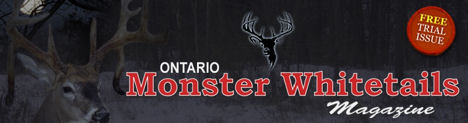 Monster Whitetails